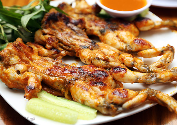 Ếch Làm Món Gì Ngon? 3 Món Ăn Từ Thịt Ếch Giàu Dinh Dưỡng