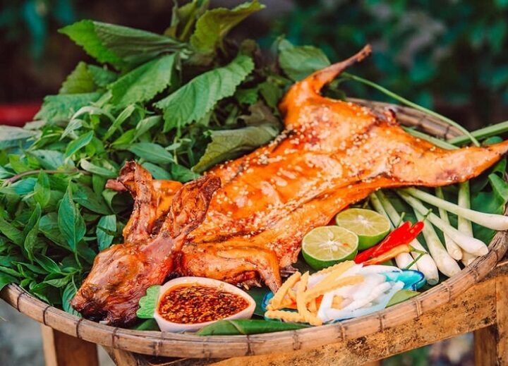 Thỏ Làm Món Gì Ngon? 3 Gợi Ý Món Ăn Hấp Dẫn Từ Thịt Thỏ